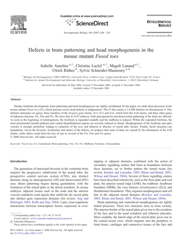 Defects in Brain Patterning and Head Morphogenesis in the Mouse Mutant Fused Toes
