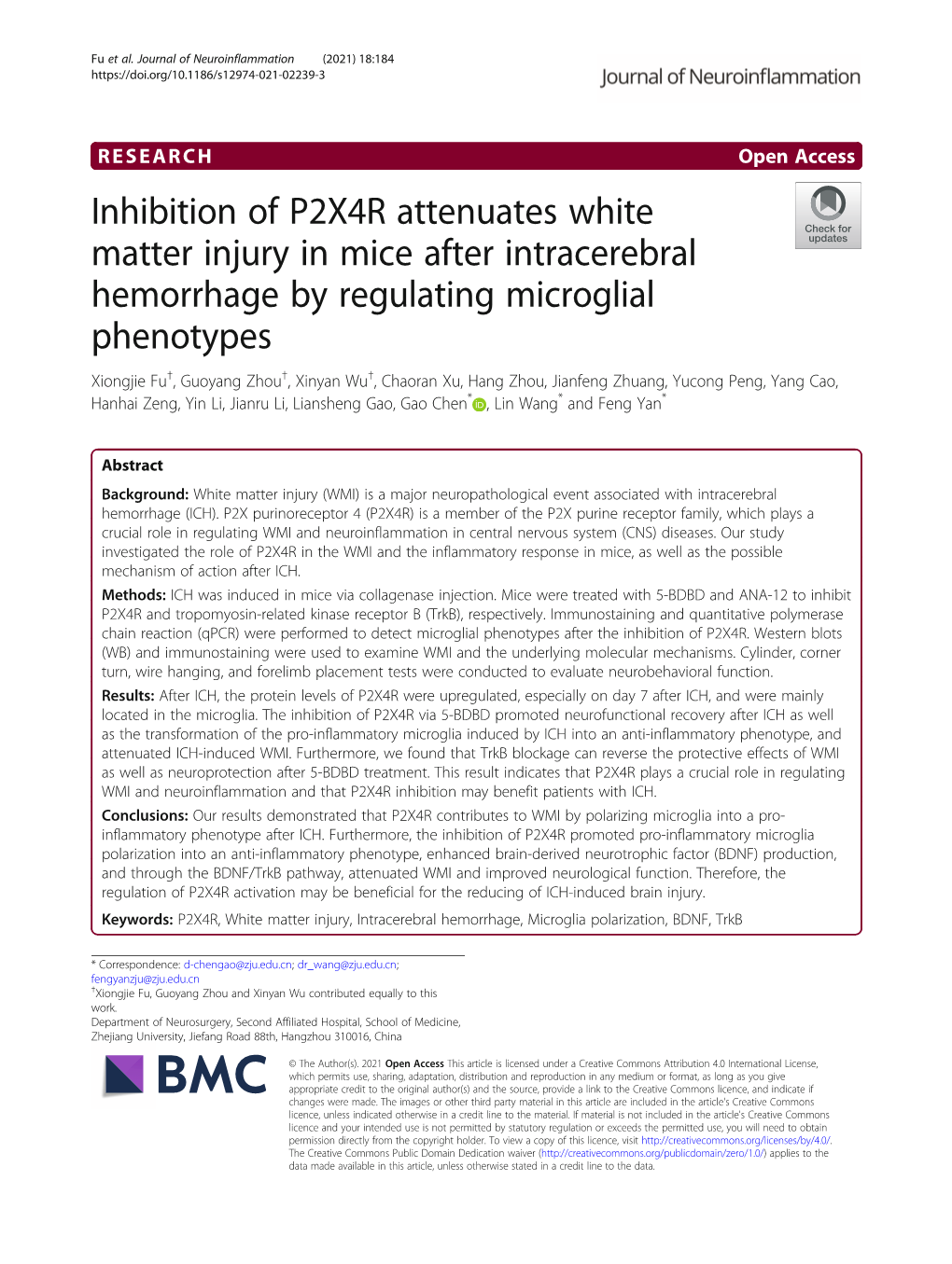 Inhibition of P2X4R Attenuates White Matter Injury in Mice After