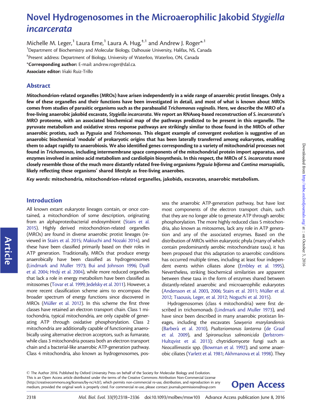 Novel Hydrogenosomes in the Microaerophilic Jakobid Stygiella Incarcerata Article Open Access