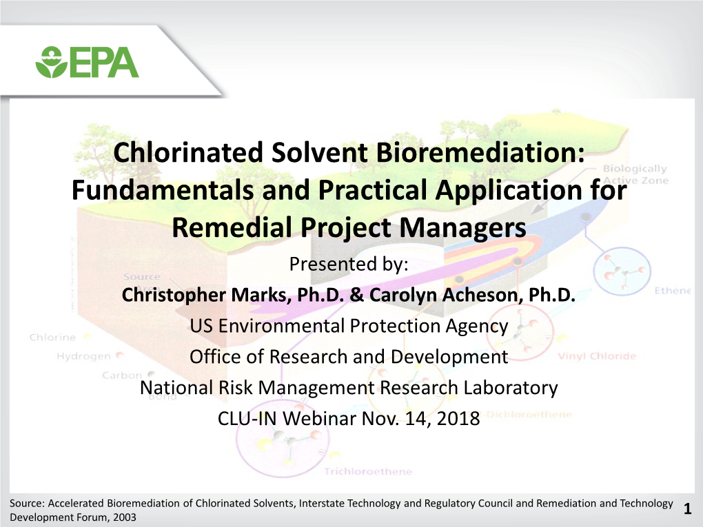 Chlorinated Solvent Bioremediation: Fundamentals And Practical ...