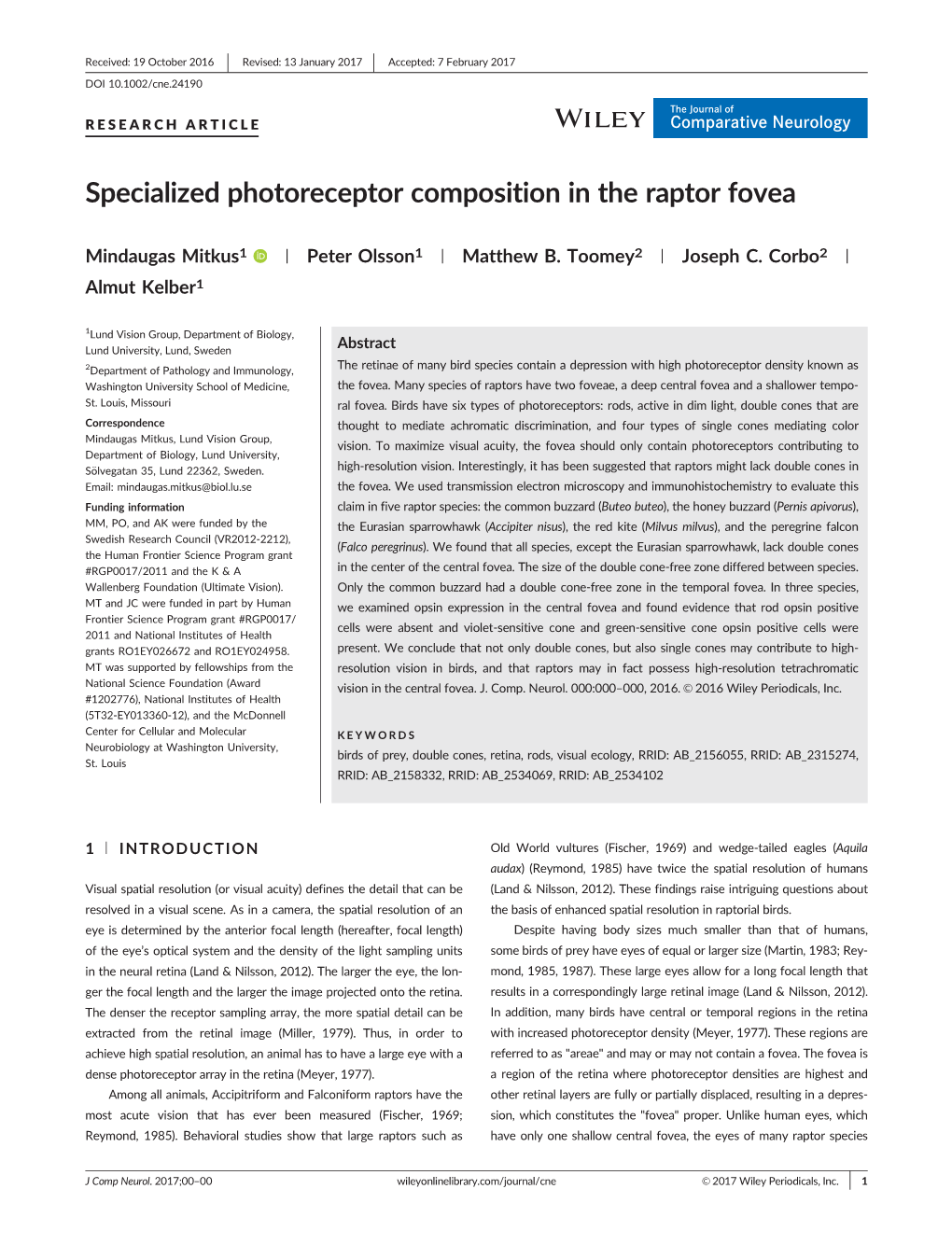 Specialized Photoreceptor Composition in the Raptor Fovea