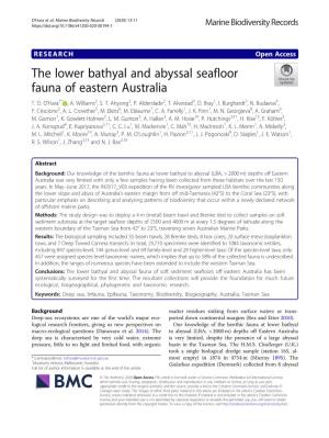 The Lower Bathyal and Abyssal Seafloor Fauna of Eastern Australia T