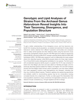 Genotypic and Lipid Analyses of Strains from the Archaeal Genus Halorubrum Reveal Insights Into Their Taxonomy, Divergence, and Population Structure