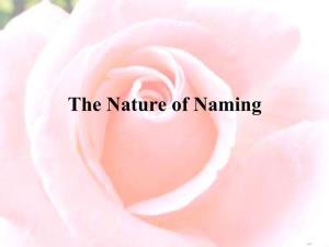 The Nature of Naming What’S in a Name?