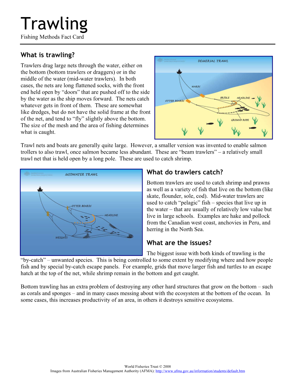 Trawling Fishing Methods Fact Card