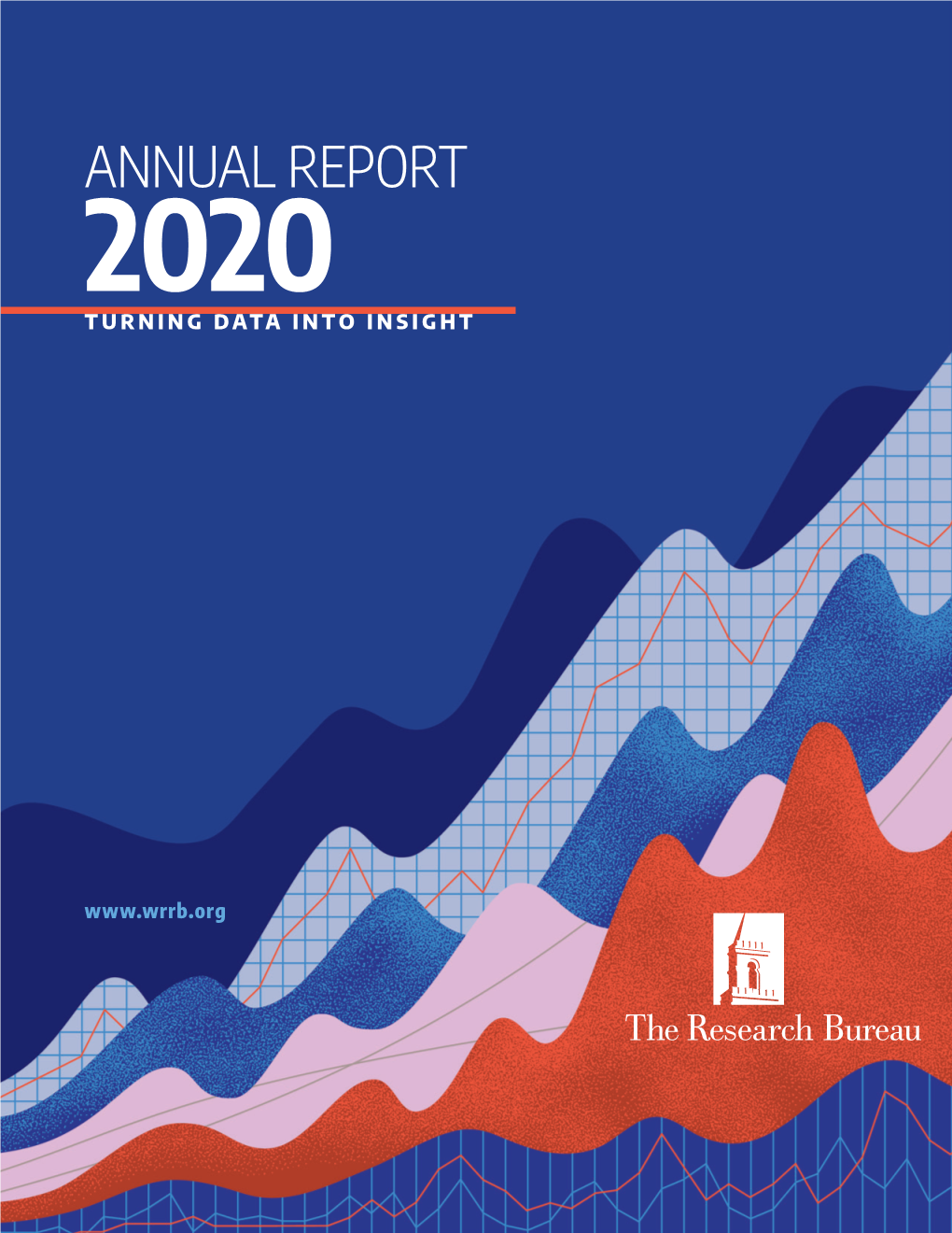 Annual Report 2020 Turning Data Into Insight