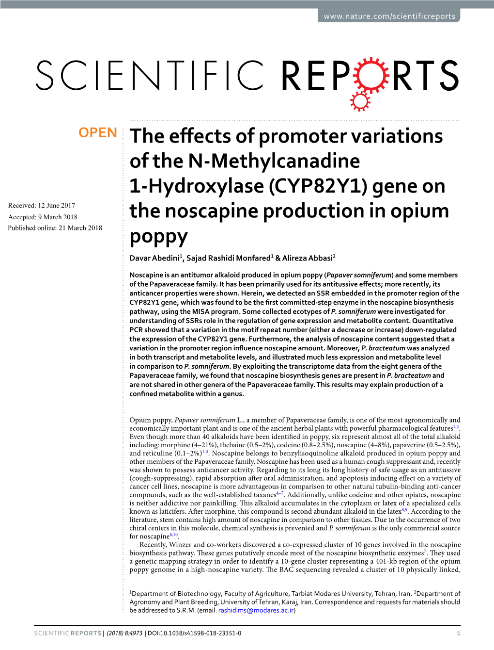 (CYP82Y1) Gene on the Noscapine Production in Opium Poppy