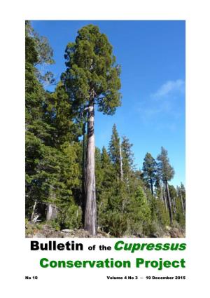 Bulletin of Thecupressus
