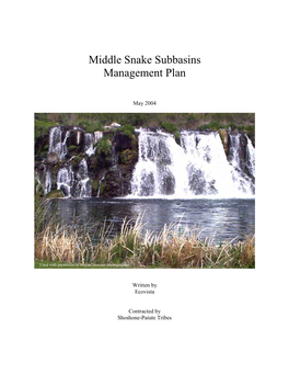Middle Snake Subbasins Management Plan