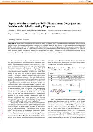 Supramolecular Assembly of DNA-Phenanthrene Conjugates Into Vesicles with Light-Harvesting Properties Caroline D