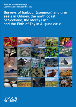 SNH Commissioned Report 572: Surveys of Harbour (Common) And