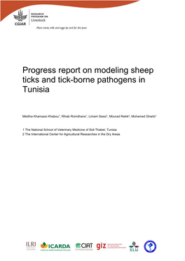 Progress Report on Modeling Sheep Ticks and Tick-Borne Pathogens in Tunisia