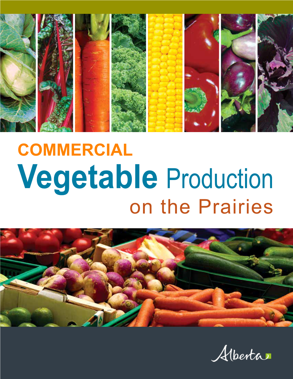 COMMERCIAL Vegetable Production on the Prairies Commercial Vegetable Production on the Prairies