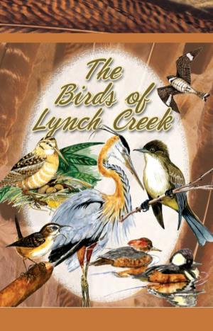 THE BIRDS of LYNCH CREEK the BIRDS of LYNCH CREEK • 31 Thickets and Brushy Areas Are the Favorite Haunt of the Song Sparrow