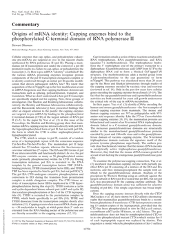 Origins of Mrna Identity: Capping Enzymes Bind to The