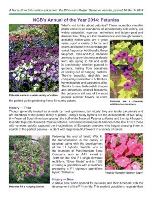 NGB's Annual of the Year 2014: Petunias