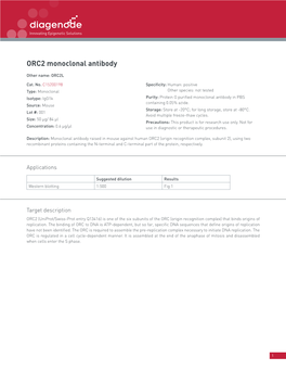 ORC2 Monoclonal Antibody