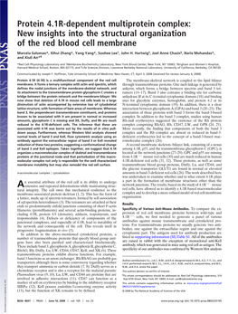 Protein 4.1R-Dependent Multiprotein Complex: New Insights Into the Structural Organization of the Red Blood Cell Membrane