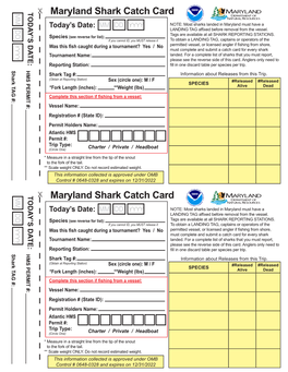 Shark Catch Card