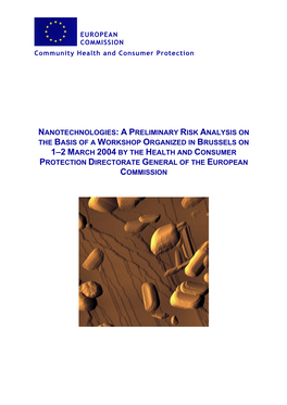 Nanotechnologies: a Preliminary Risk Analysis on the Basis of A
