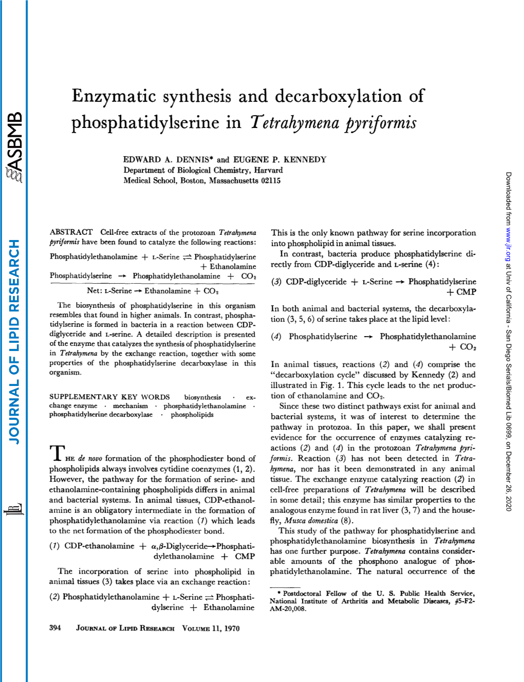 Enzymatic Synthesis and Decarboxylation of Phosphatidylserine in Tetrahymena Pyrzformis