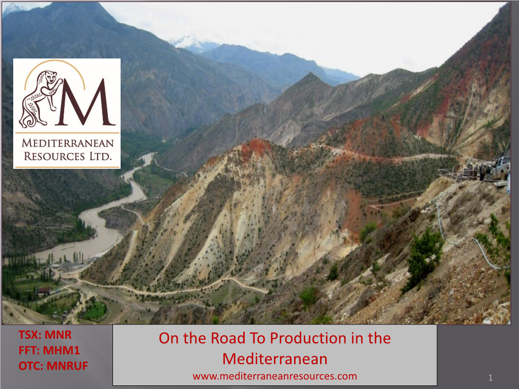 Mediterranean Resources Ltd