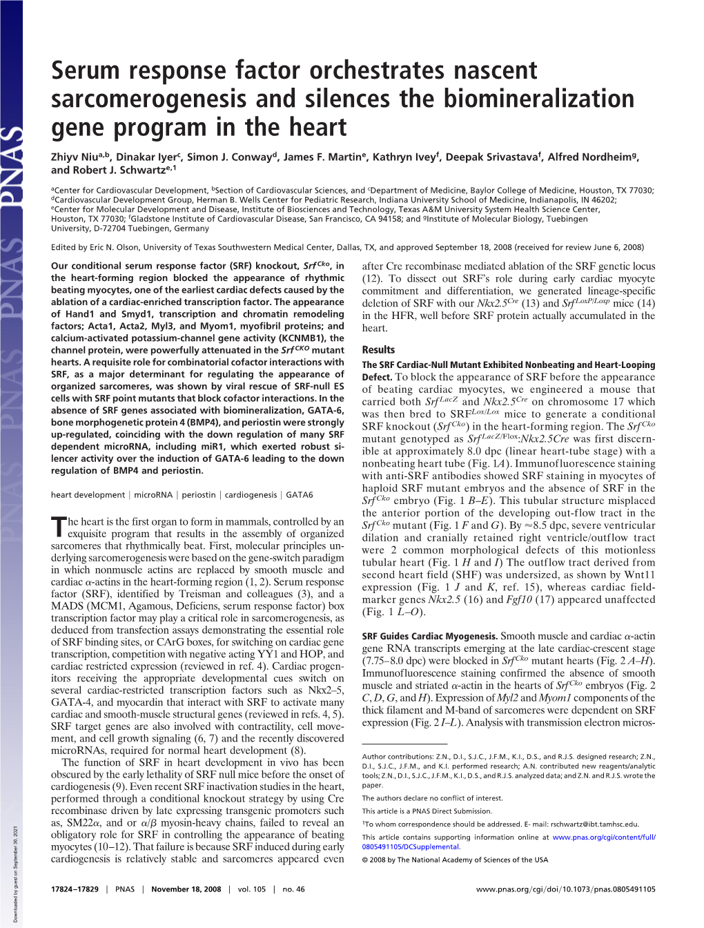 Serum Response Factor Orchestrates Nascent Sarcomerogenesis and Silences the Biomineralization Gene Program in the Heart