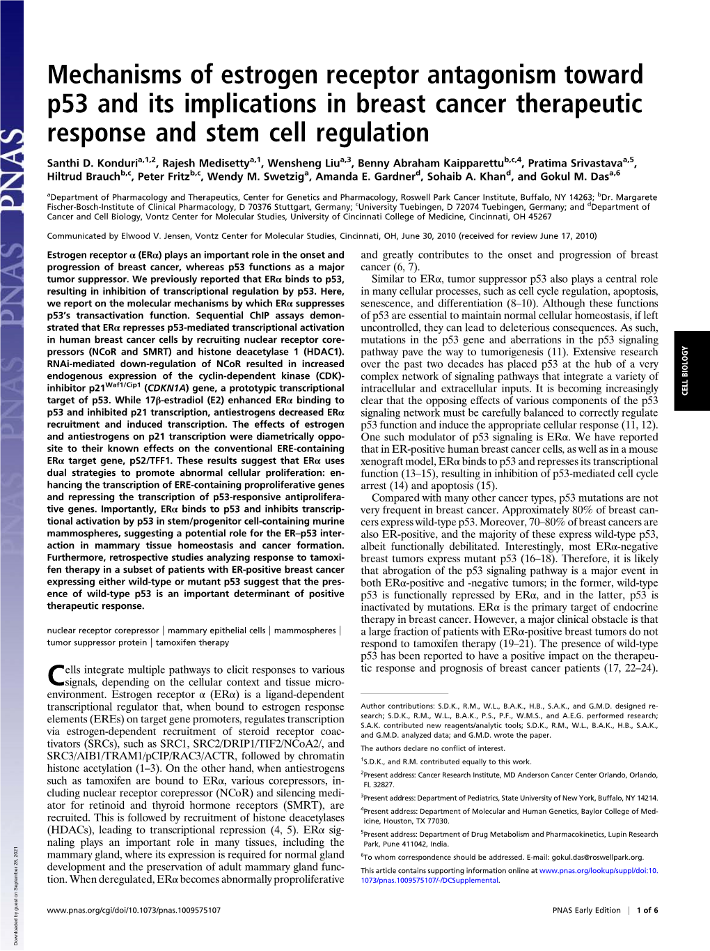 Mechanisms of Estrogen Receptor Antagonism Toward P53 and Its Implications in Breast Cancer Therapeutic Response and Stem Cell Regulation