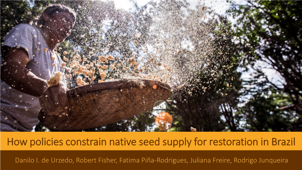 Community-Based Native Seed Production for Restoration in Brazil