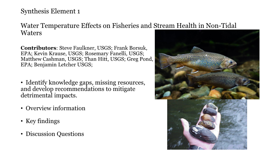 Water Temperature Effects on Fisheries and Stream Health in Non-Tidal Waters
