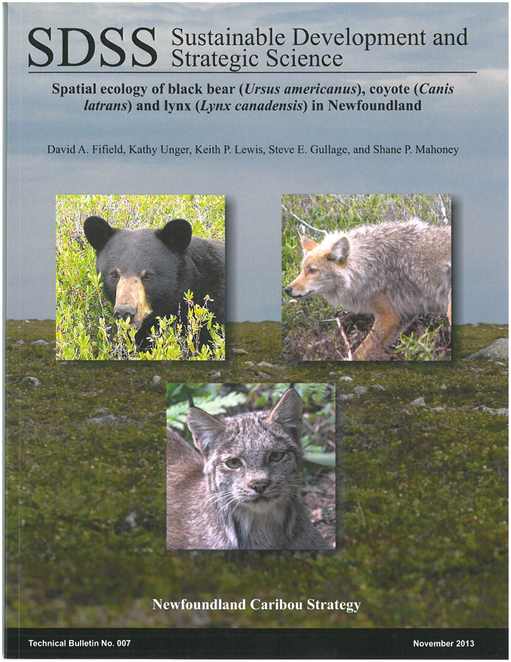 (Ursus Americanus), Coyote (Canis Latrans) and Lynx (Lynx Canadensis) in Newfoundland