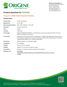Polycystin 2 (PKD2) Rabbit Polyclonal Antibody – TA328750 | Origene