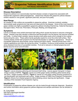 Grapevine Yellows Identification Guide Ryan Steeves, USDA-APHIS-PPQ
