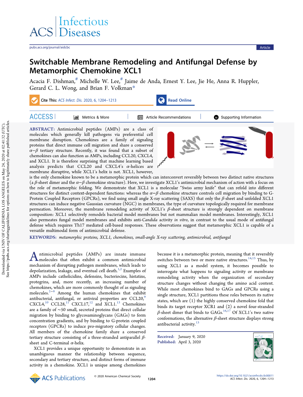 Switchable Membrane Remodeling and Antifungal Defense by Metamorphic Chemokine XCL1 # # Acacia F