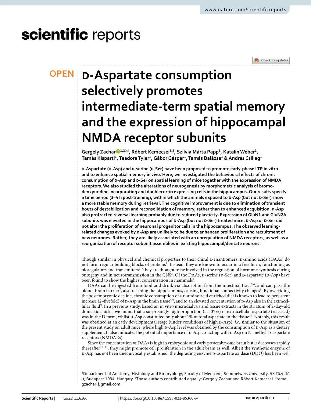 D-Aspartate Consumption Selectively Promotes Intermediate-Term Spatial