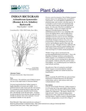INDIAN RICEGRASS Erosion Control/Reclamation: One of Indian Ricegrass' Greatest Values Is for Stabilizing Sites Susceptible to Achnatherum Hymenoides Wind Erosion