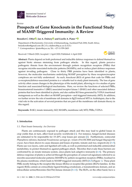 Prospects of Gene Knockouts in the Functional Study of MAMP-Triggered Immunity: a Review