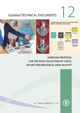 Sampling Protocol for the Pilot Collection of Catch, Effort and Biological Data in Egypt Food and Agriculture Organization of the United Nations