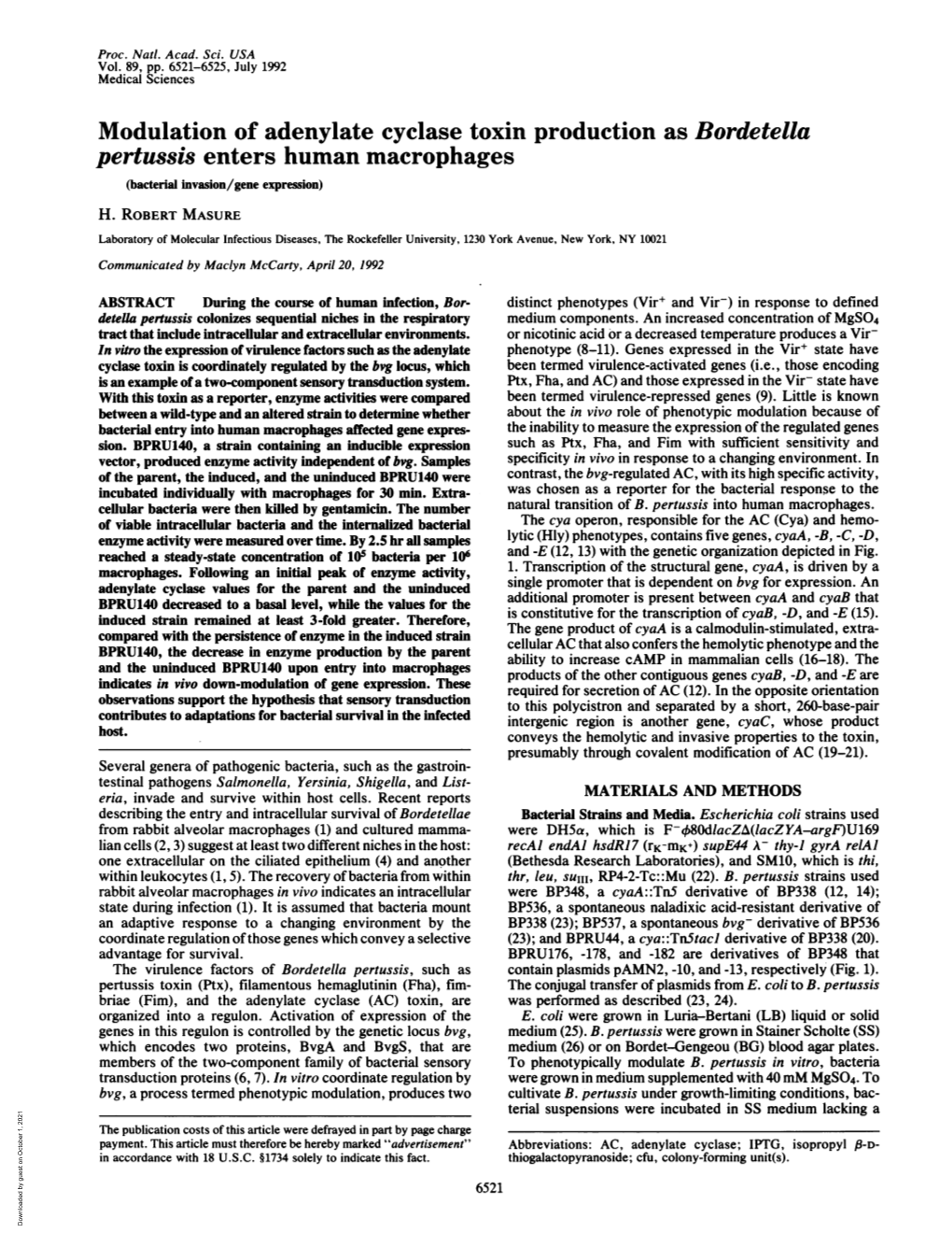 Modulation of Adenylate Cyclase Toxin Production As Bordetella Pertussis Enters Human Macrophages (Bacterial Invasion/Gene Expression) H