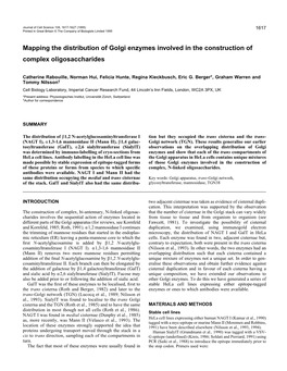 Mapping the Distribution of Golgi Enzymes Involved in the Construction of Complex Oligosaccharides