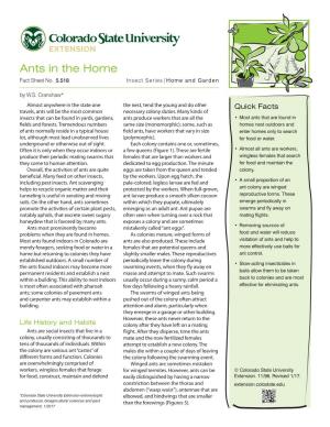 Ants in the Home Fact Sheet No