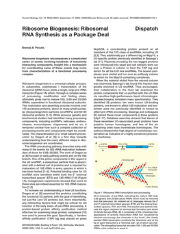 Ribosome Biogenesis: Ribosomal Dispatch RNA Synthesis As a Package Deal