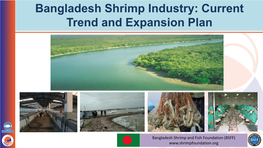 Bangladesh Shrimp Industry: Current Trend and Expansion Plan