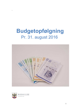 Budgetopfølgning