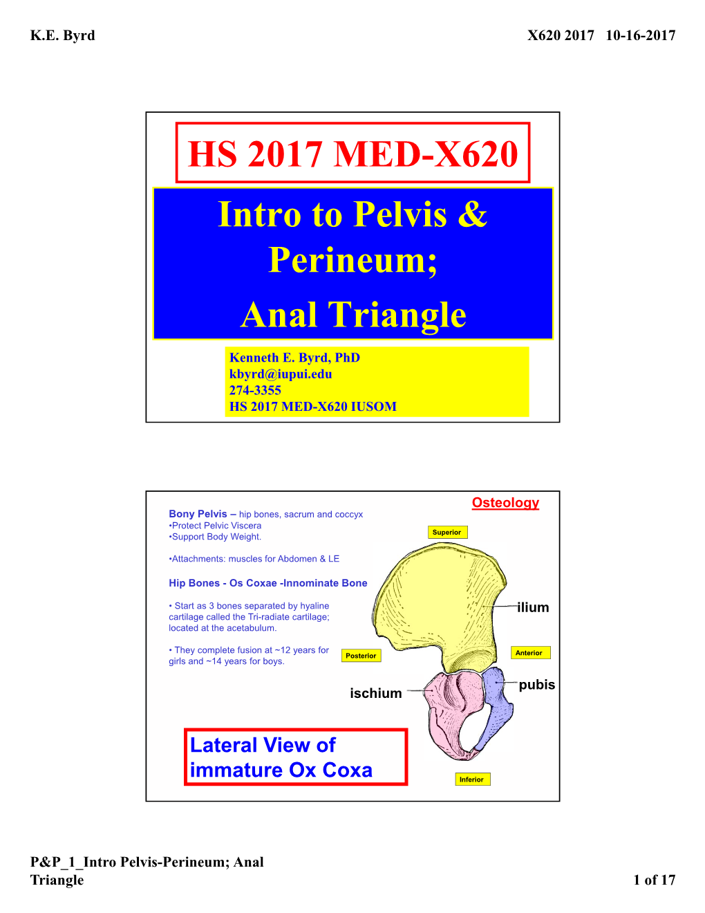 HS 2017 MED-X620 Intro to Pelvis & Perineum; Anal Triangle