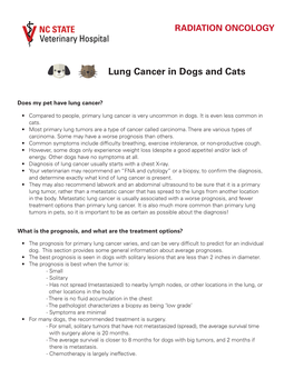 Lung Cancer in Dogs and Cats