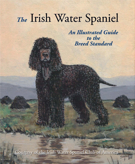 An Illustrated Guide to the Breed Standard