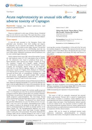 Acute Nephrotoxicity an Unusual Side Effect Or Adverse Toxicity of Captagon