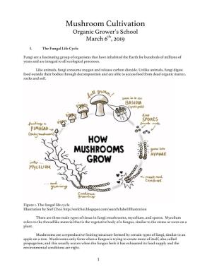 Mushroom Cultivation Organic Grower’S School March 6Th, 2019