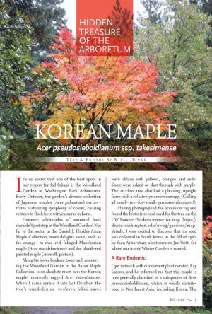 KOREAN MAPLE Acer Pseudosieboldianum Ssp